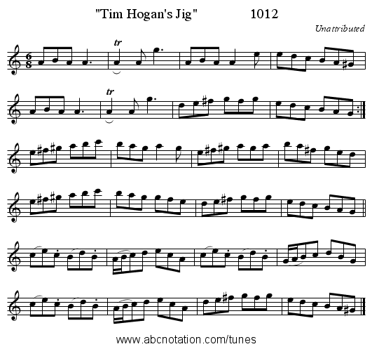 Tim Hogan's Jig               1012 - staff notation
