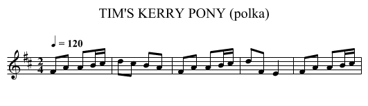 TIM'S KERRY PONY (polka) - staff notation