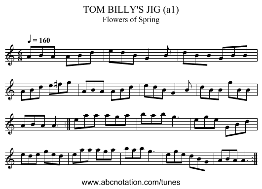 TOM BILLY'S JIG (a1) - staff notation