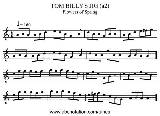 TOM BILLY'S JIG (a2) - staff notation