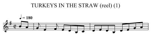 TURKEYS IN THE STRAW (reel) (1) - staff notation