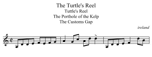 Turtle's Reel, The - staff notation