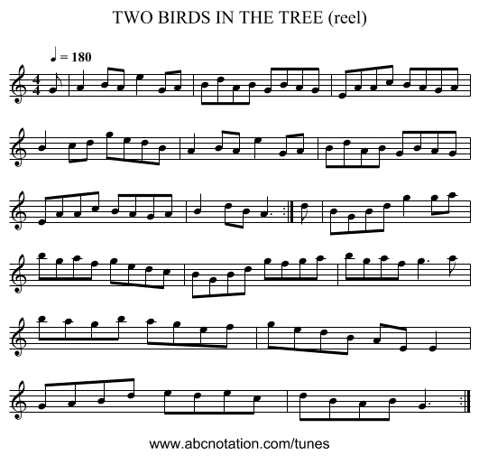 TWO BIRDS IN THE TREE (reel) - staff notation