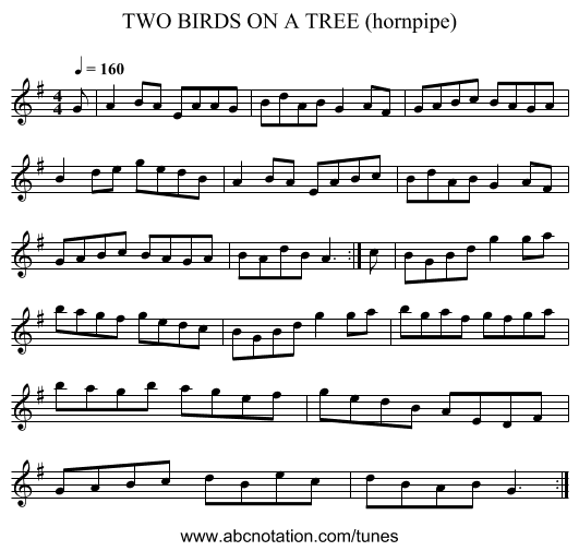 TWO BIRDS ON A TREE (hornpipe) - staff notation