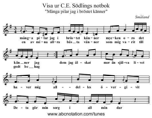 Visa ur C.E. Södlings notbok - staff notation