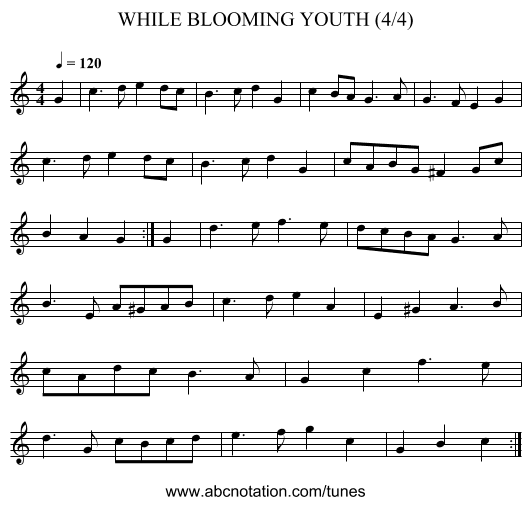 WHILE BLOOMING YOUTH (4/4) - staff notation