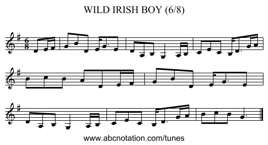 WILD IRISH BOY (6/8) - staff notation
