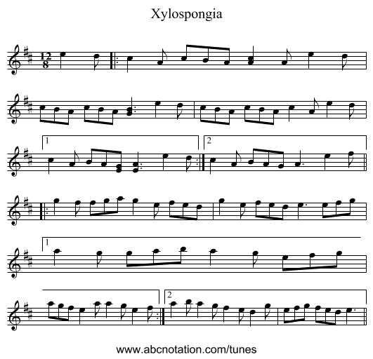 Xylospongia - staff notation