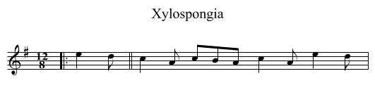 Xylospongia - staff notation